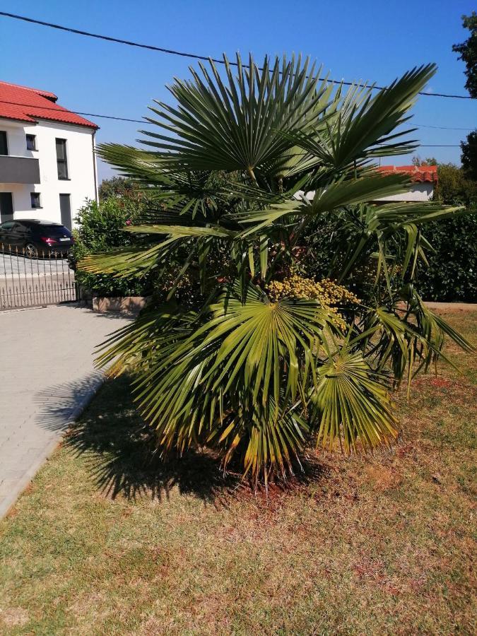 Apartment Jadranka Sveti Anton  Kültér fotó