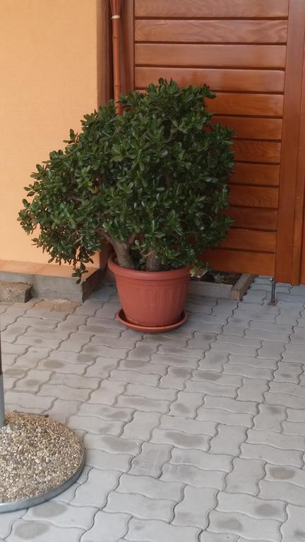 Apartment Jadranka Sveti Anton  Kültér fotó